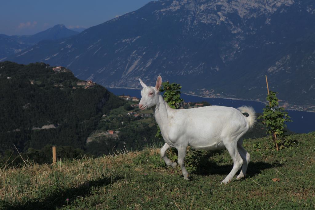 Al Franet Séjour à la ferme