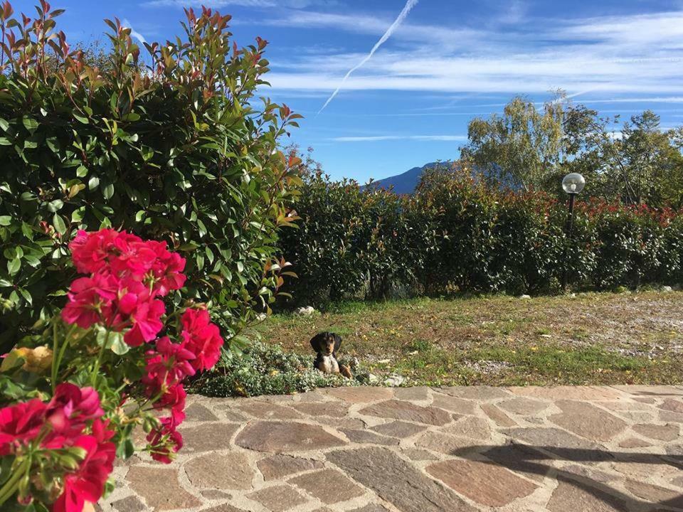 Farm stay Al Franet