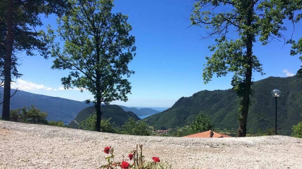 Farm stay Al Franet
